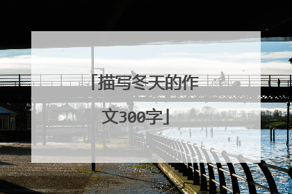 描写冬天的作文300字