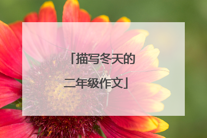 描写冬天的二年级作文