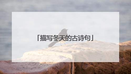 描写冬天的古诗句