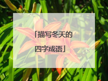 描写冬天的四字成语