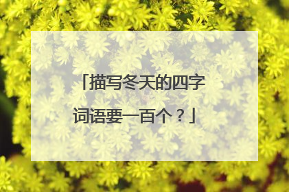 描写冬天的四字词语要一百个？