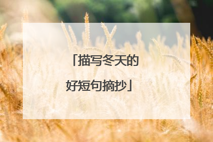 描写冬天的好短句摘抄