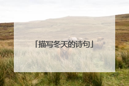 描写冬天的诗句