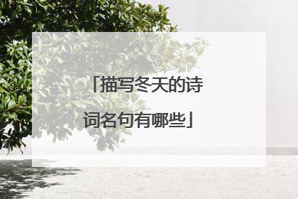 描写冬天的诗词名句有哪些