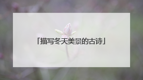 描写冬天美景的古诗