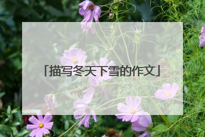 描写冬天下雪的作文
