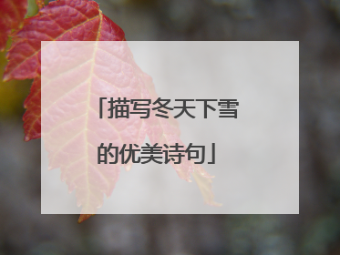 描写冬天下雪的优美诗句