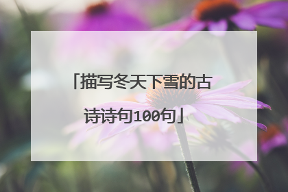 描写冬天下雪的古诗诗句100句