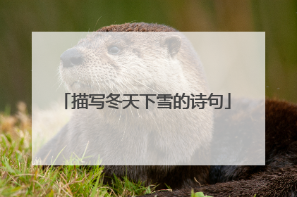 描写冬天下雪的诗句