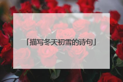 描写冬天初雪的诗句