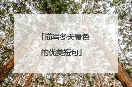 描写冬天景色的优美短句