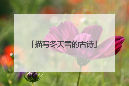 描写冬天雪的古诗