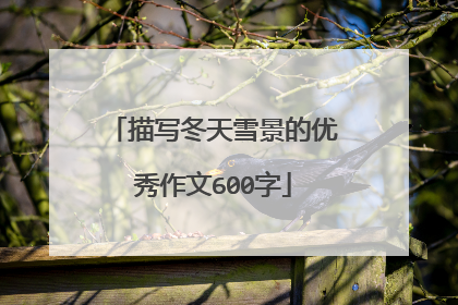 描写冬天雪景的优秀作文600字