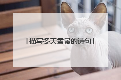 描写冬天雪景的诗句