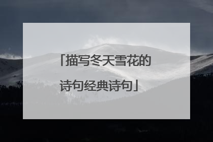 描写冬天雪花的诗句经典诗句