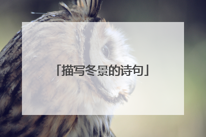 描写冬景的诗句
