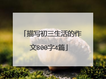 描写初三生活的作文800字4篇