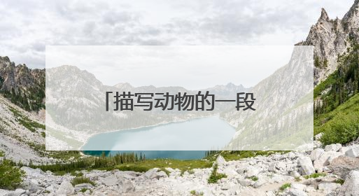 描写动物的一段话100字?