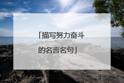 描写努力奋斗的名言名句