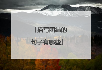 描写团结的句子有哪些