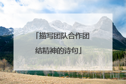 描写团队合作团结精神的诗句