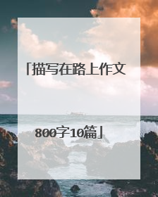 描写在路上作文800字10篇