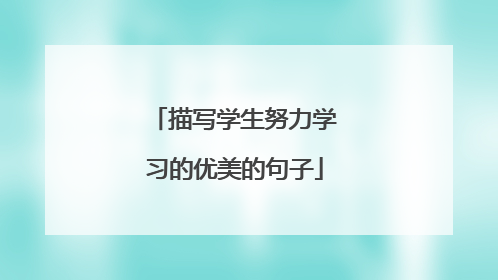 描写学生努力学习的优美的句子