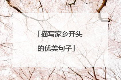 描写家乡开头的优美句子