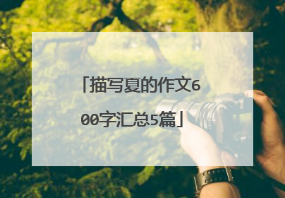描写夏的作文600字汇总5篇