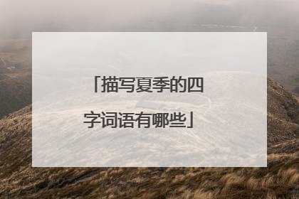 描写夏季的四字词语有哪些