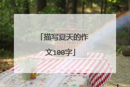 描写夏天的作文100字