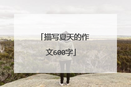描写夏天的作文600字