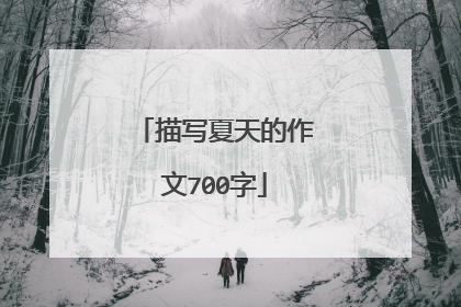 描写夏天的作文700字