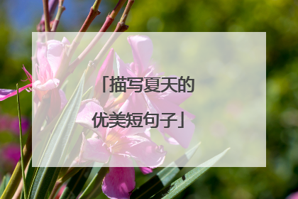 描写夏天的优美短句子