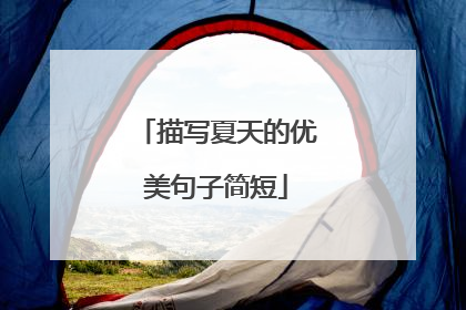 描写夏天的优美句子简短
