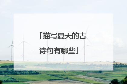 描写夏天的古诗句有哪些