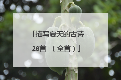 描写夏天的古诗 20首 (全首)
