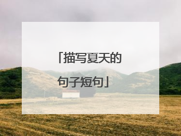 描写夏天的句子短句