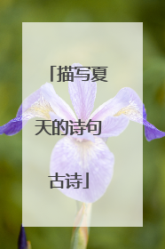 描写夏天的诗句古诗
