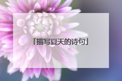 描写夏天的诗句