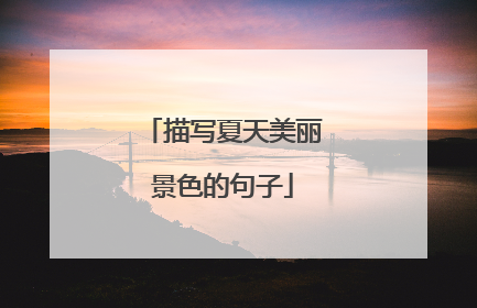 描写夏天美丽景色的句子