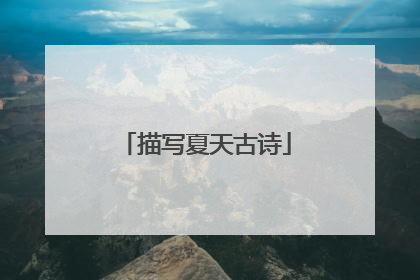 描写夏天古诗