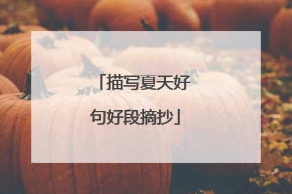 描写夏天好句好段摘抄