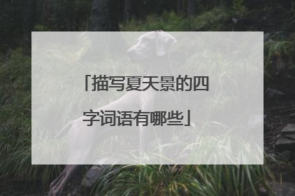 描写夏天景的四字词语有哪些