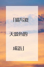 描写夏天景色的成语