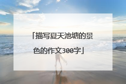 描写夏天池塘的景色的作文300字