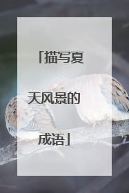 描写夏天风景的成语