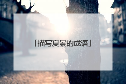 描写夏景的成语