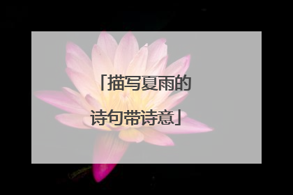 描写夏雨的诗句带诗意