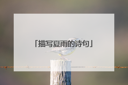 描写夏雨的诗句